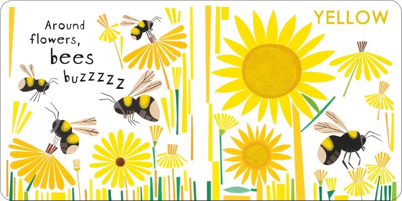 Canadian Animals in Colour Board Book