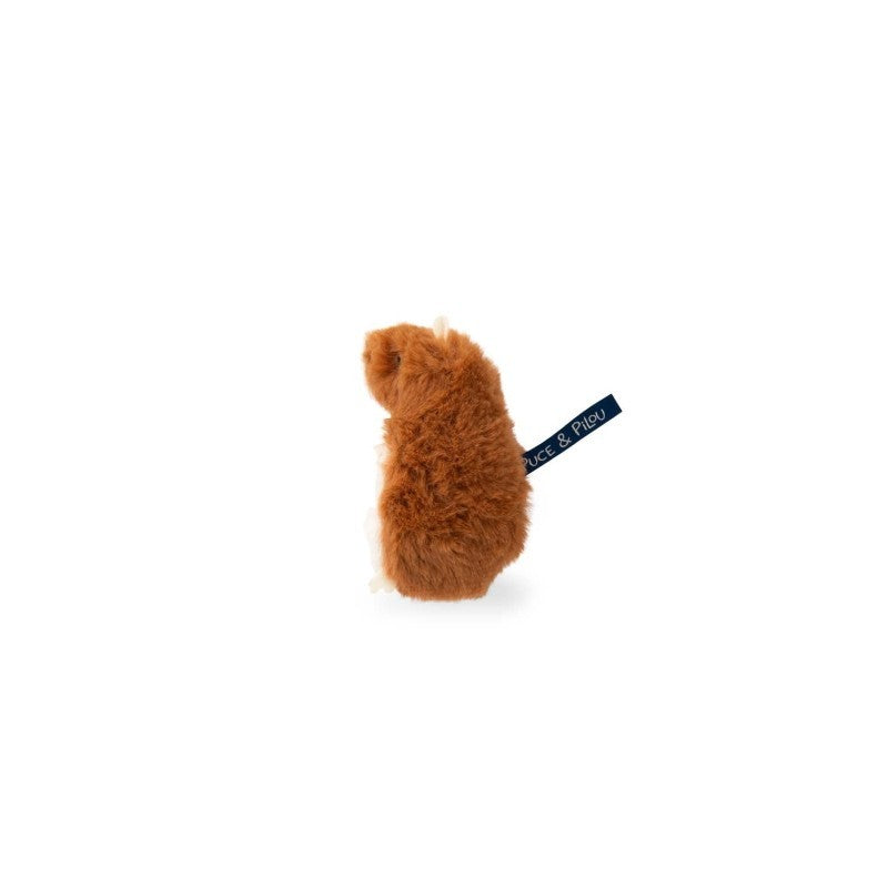 Puce &amp; Pilou - Tooth Hamster