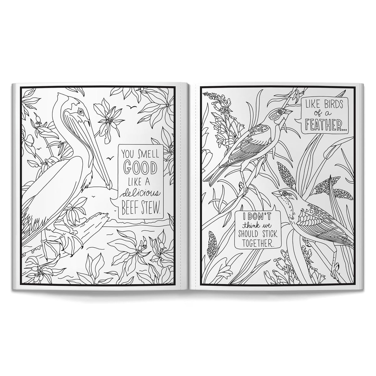 Salty Birds Coloring Book