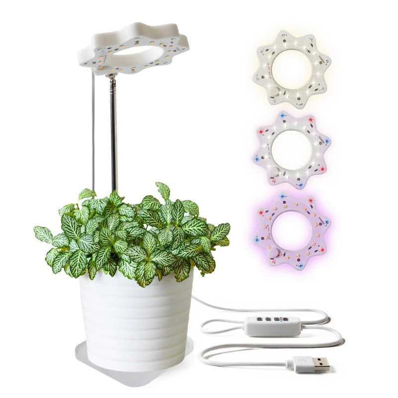 Bloomie Indoor Grow Light