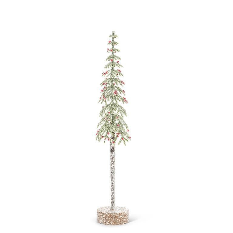 Tall Snowy Tree