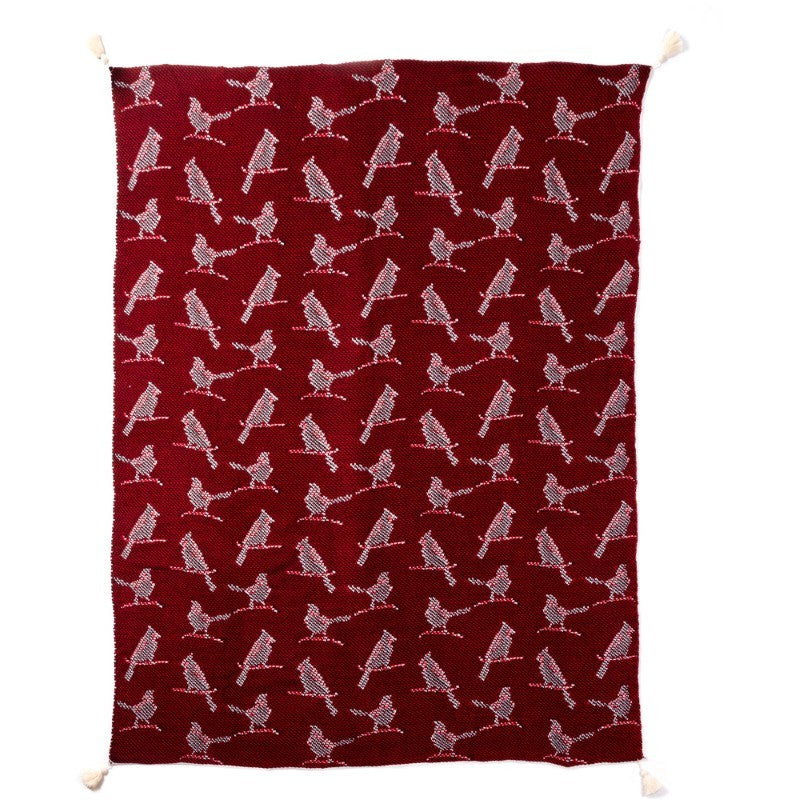 Cardinals 50" x 60" Knit Blanket