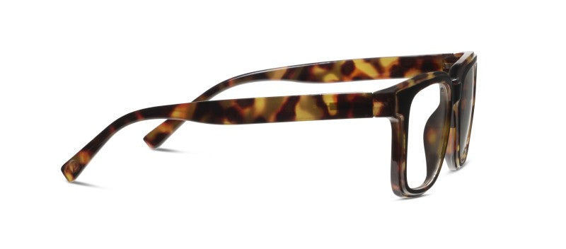 Cliff Tortoise/Black — Blue Light Reading Glasses