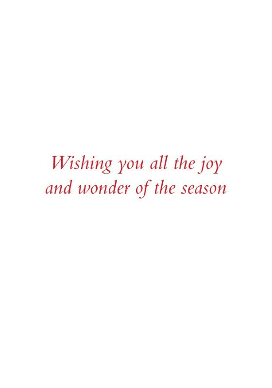 Chickadees in the Snow Holiday Cards, Box of 20