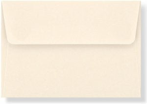 Ladybug Thank You Cards, Box of 14