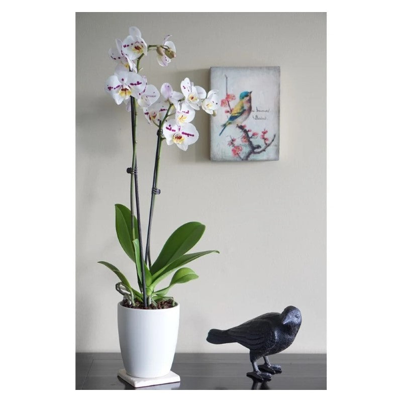 Cast Iron Crow with Head to Side - Large