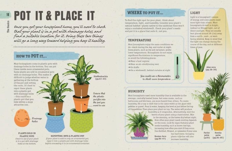 How Not to Kill Your Houseplant