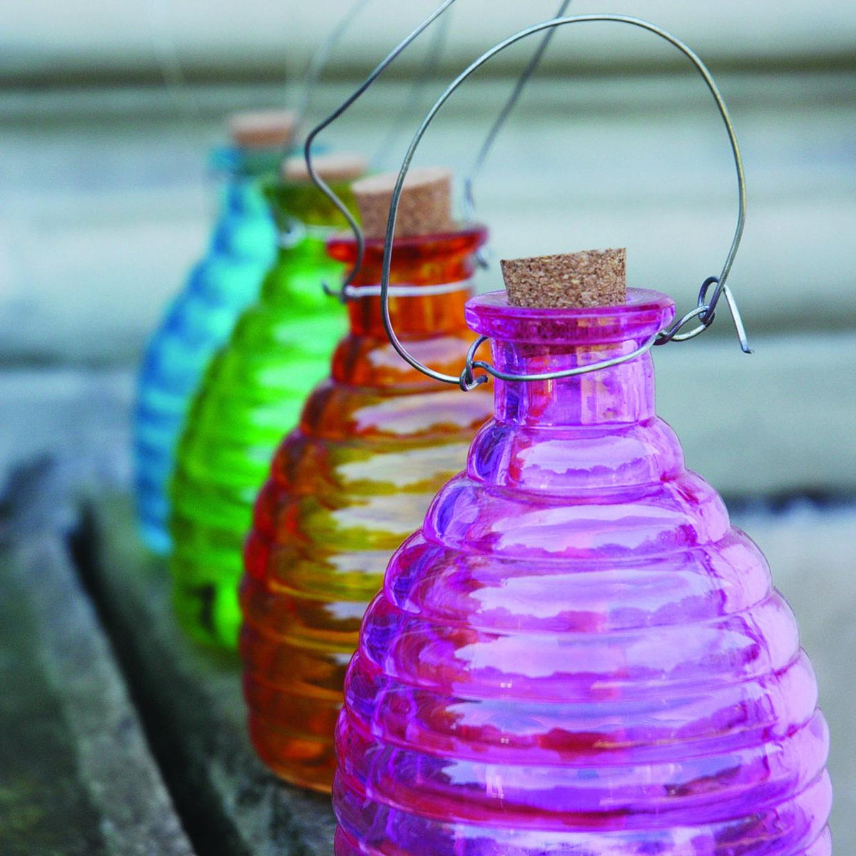 Small Glass Wasp Trap