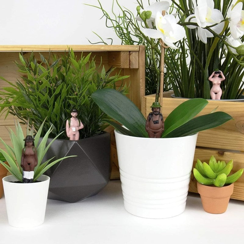Mini Plant Pot Naked Ramblers, Set of 4