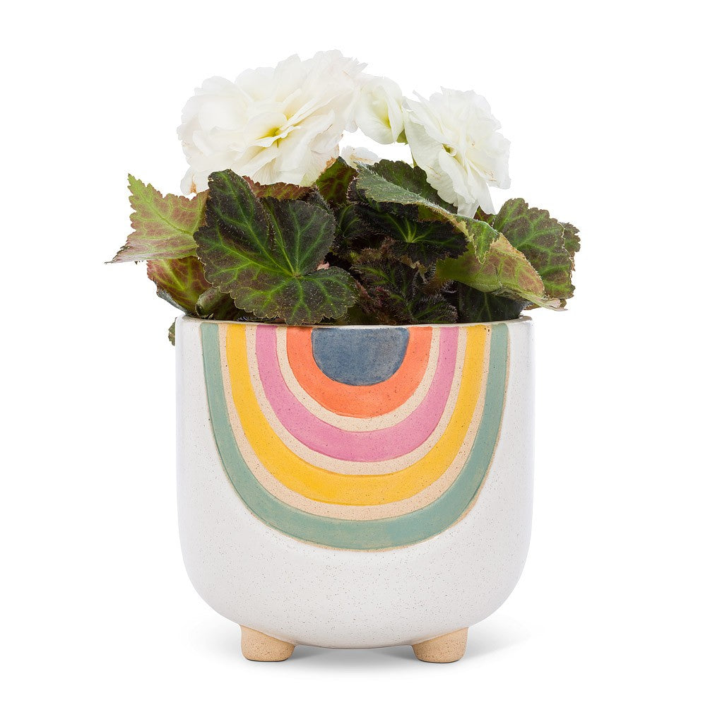 Large Rainbow Planter, 5&quot;