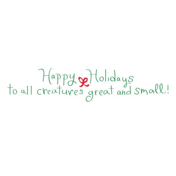 Share Your Joy Holiday Cards, Box of 15