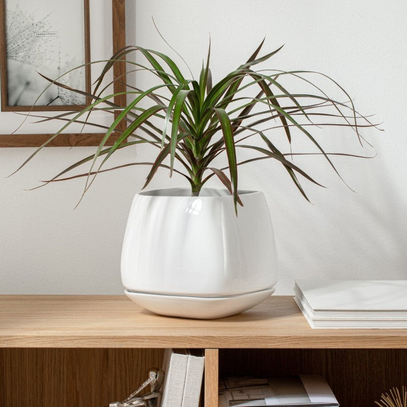 Mod Cube Planter with Saucer Base