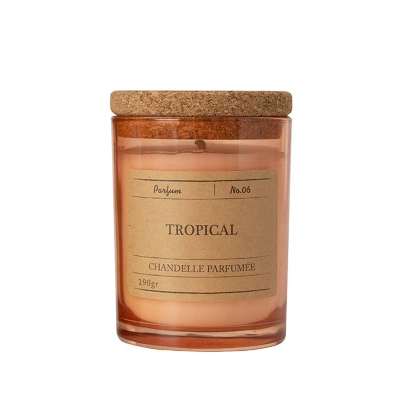 Home Fragrance Tropical Candle