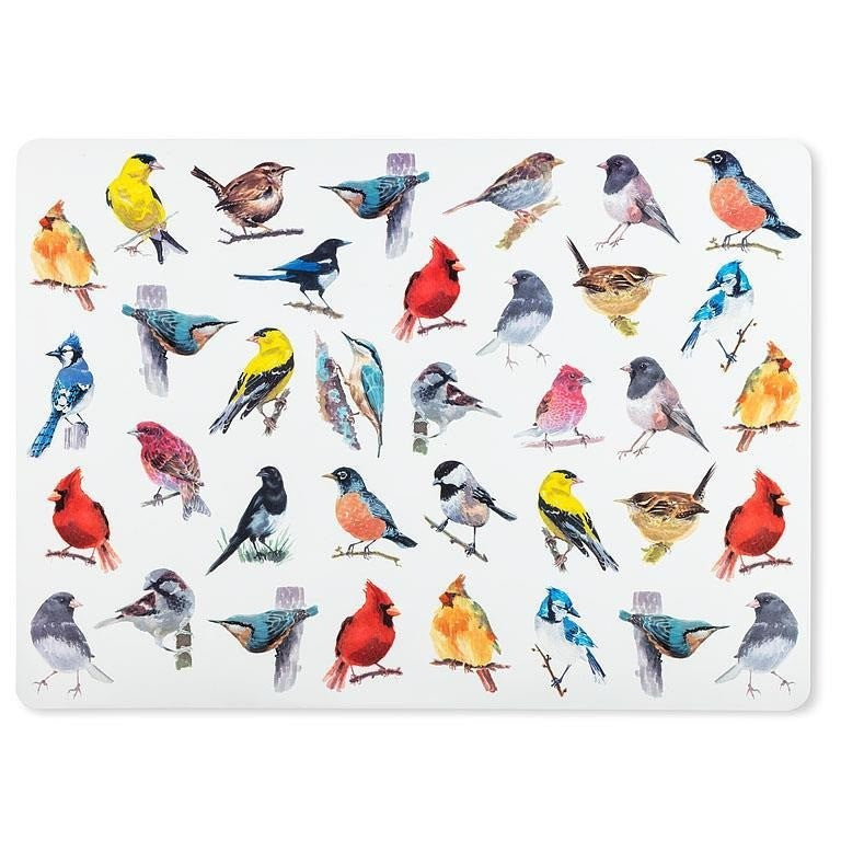 North American Birds Placemat