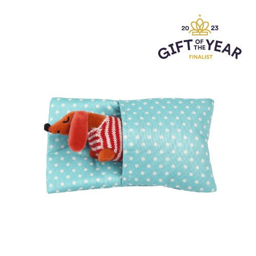 Mini Sausage Dog In A Little Box