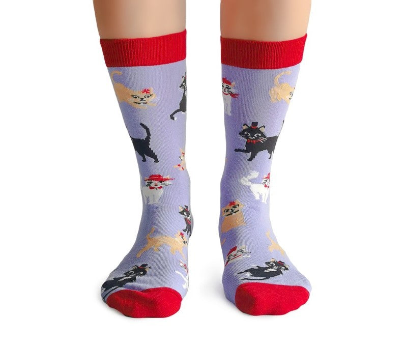 Cats In Hats Socks - SM