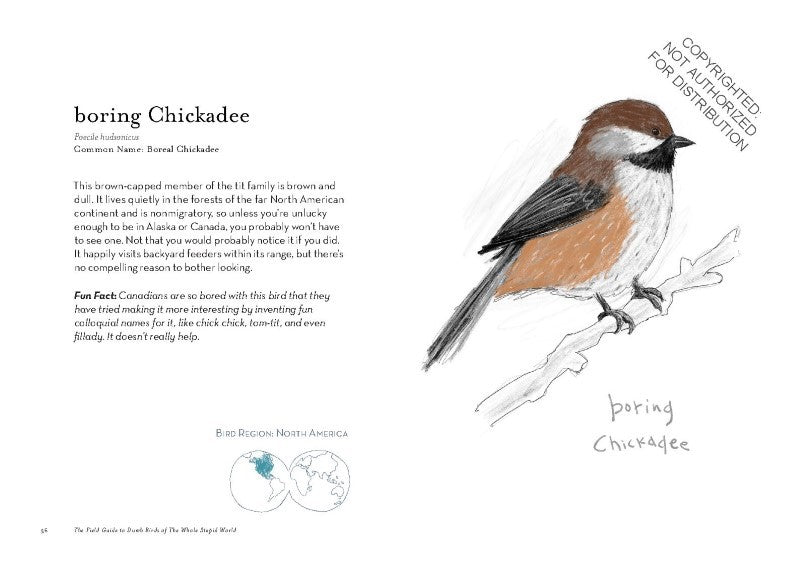 The Field Guide to Dumb Birds of The Whole Stupid World