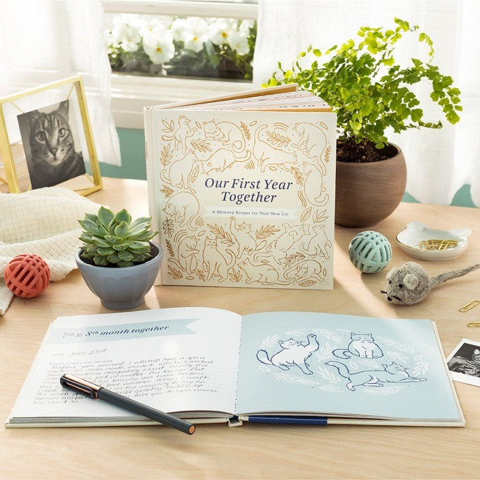 New Cat Memory Keeper: Our First Year Together