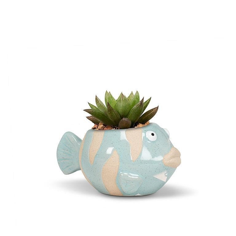 Small Fish Planter, 2&quot;H