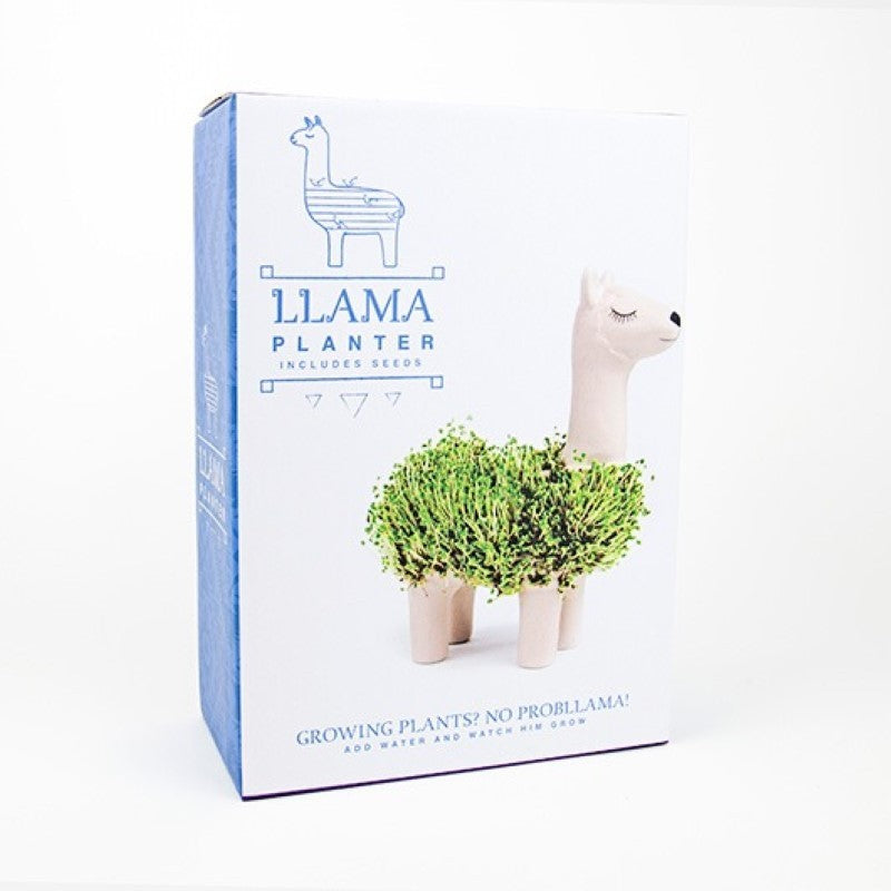 Llama Chia Planter &amp; Seeds