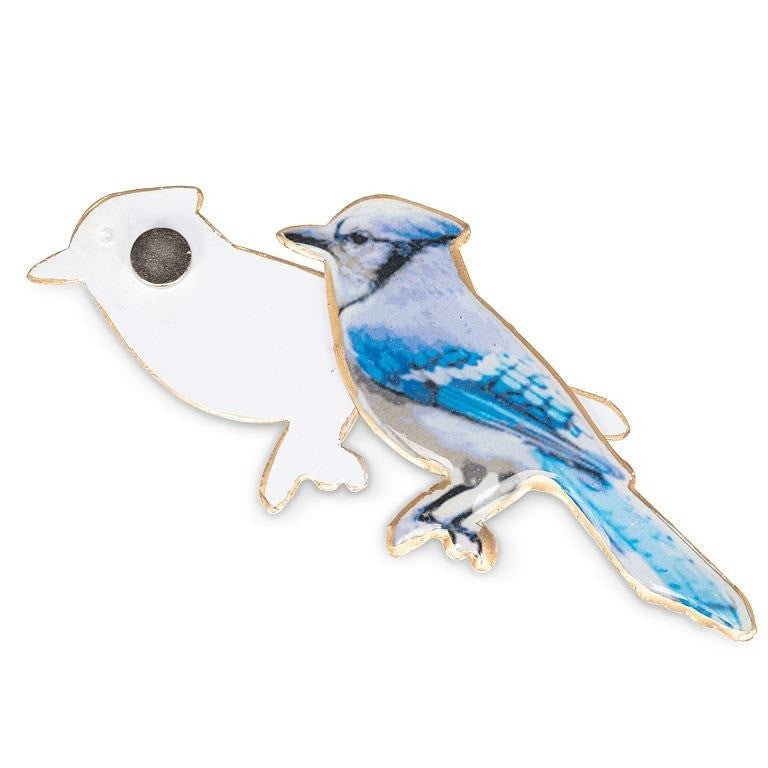 Blue Jay 2-Sided Magnet