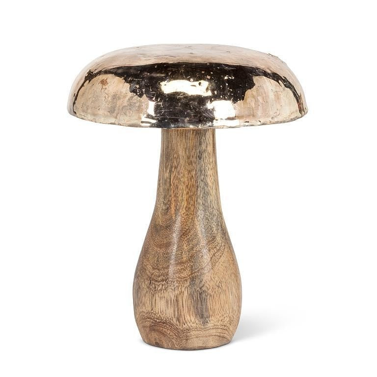 Mushroom with Burnished Silver Cap