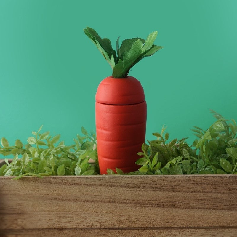 The Potting Shed Carrot Water Feeder in Gift Box