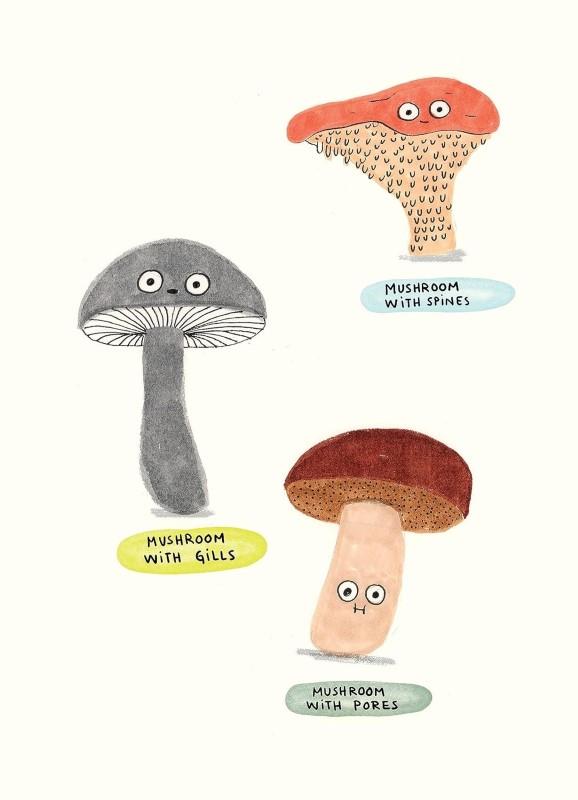 The Mushroom Fan Club