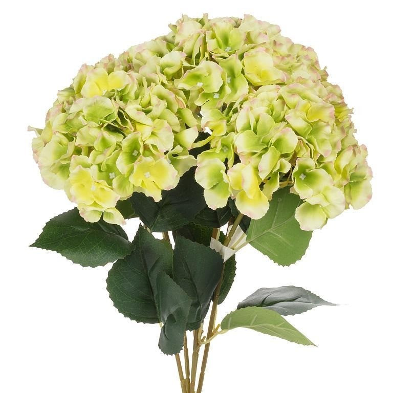 Large 5 Stem Hydrangea Bouquet