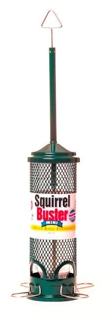 Squirrel Buster Mini Bird Feeder