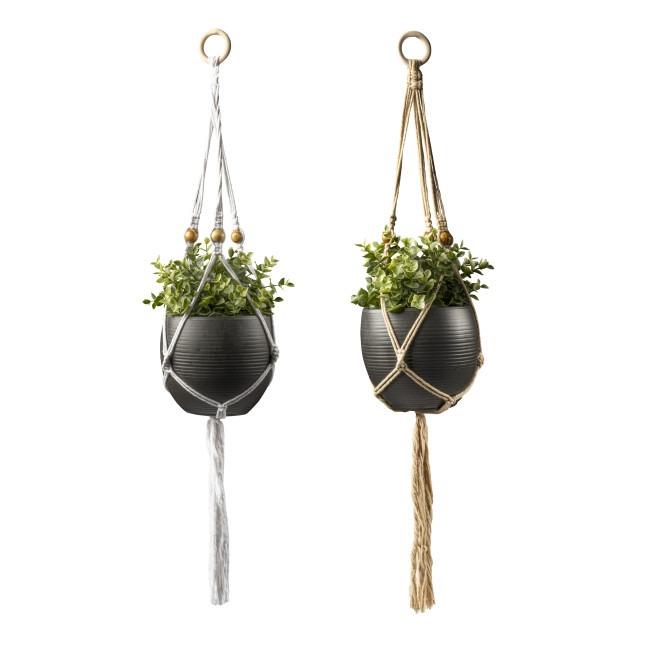 Seed &amp; Sprout® Let’s Hang Macrame Plant Hanger