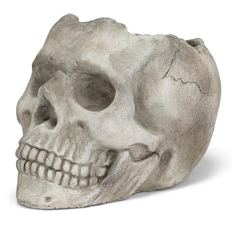 Cement Skull Planter