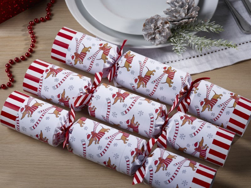 Racing Sausage Dog Christmas Crackers, Set of 6