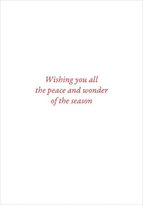 English Robins in Snow Holiday Cards, Box of 20