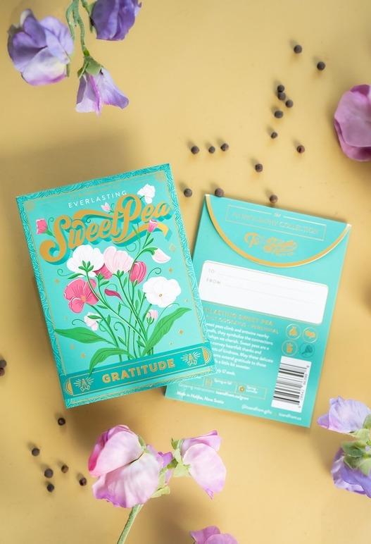 Everlasting Sweet Pea (Gratitude) - Floriography Seed Packet