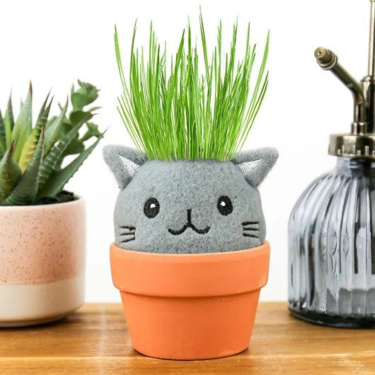 Cat Grow Kit – Grow Pals