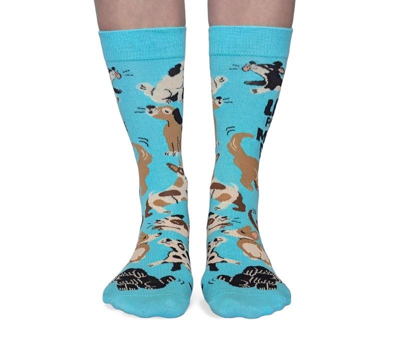More Dogs Socks - Sm