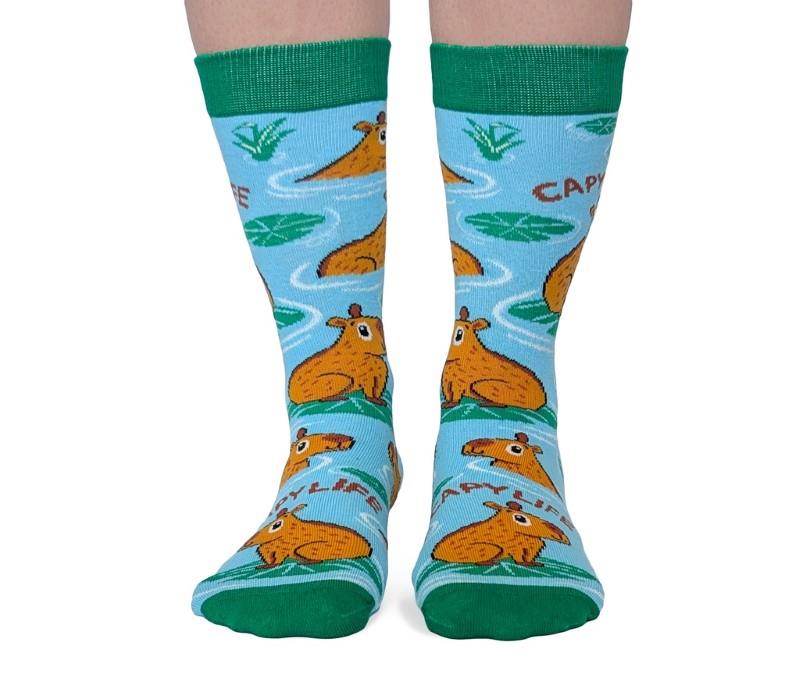 Capybara Life Sock - Sm