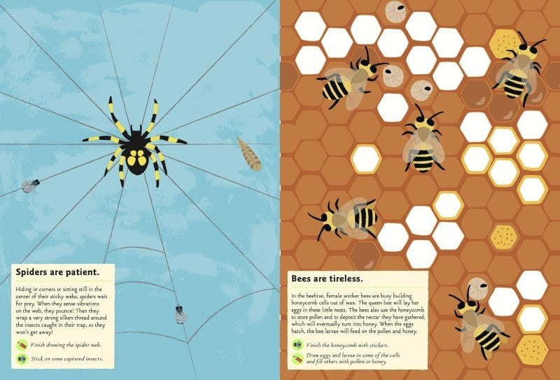 Garden Insects and Bugs My Nature Sticker Activity Book