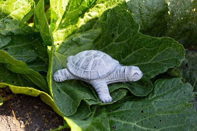 Cement Turtle Garden Figurine