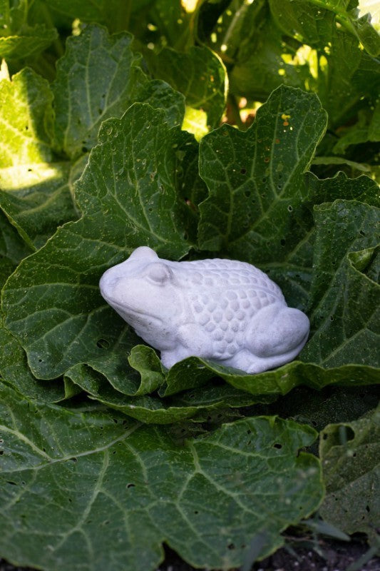 Cement Frog Garden Figurine