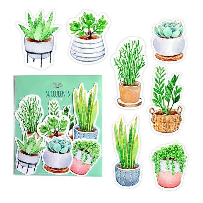 Succulents Sticker Set