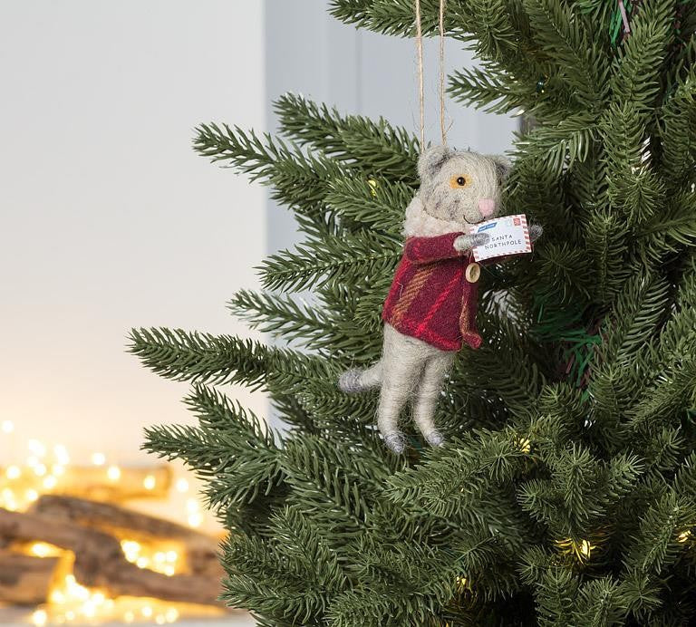 Cat in Winter Coat &amp; Santa Letter