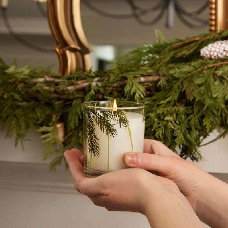 Frasier Fir® 6.5oz Pine Needle Candle