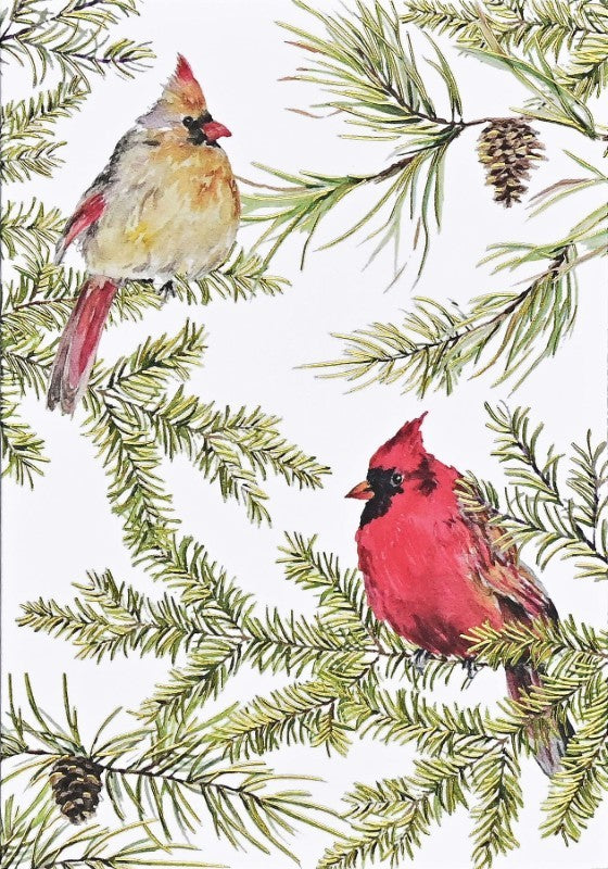 Cardinals in Evergreen Holiday Cards, Box of 20
