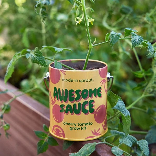 Cherry Tomato Grow Kit