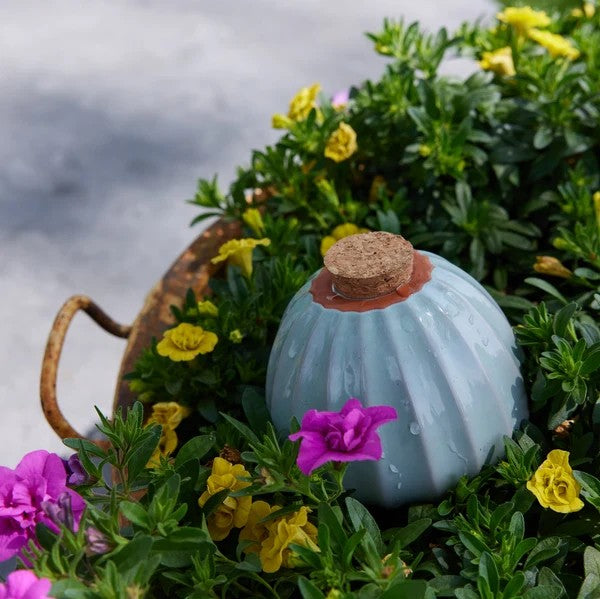 Sage Terracotta Watering Bulb