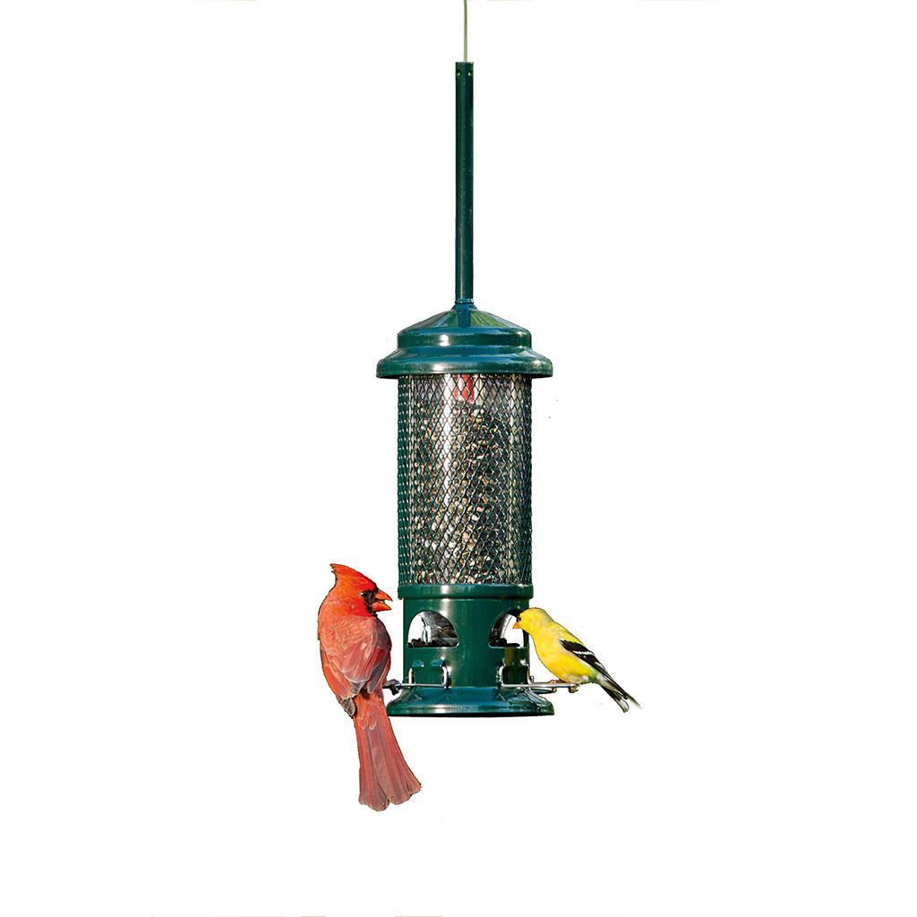 Squirrel Buster Standard Bird Feeder