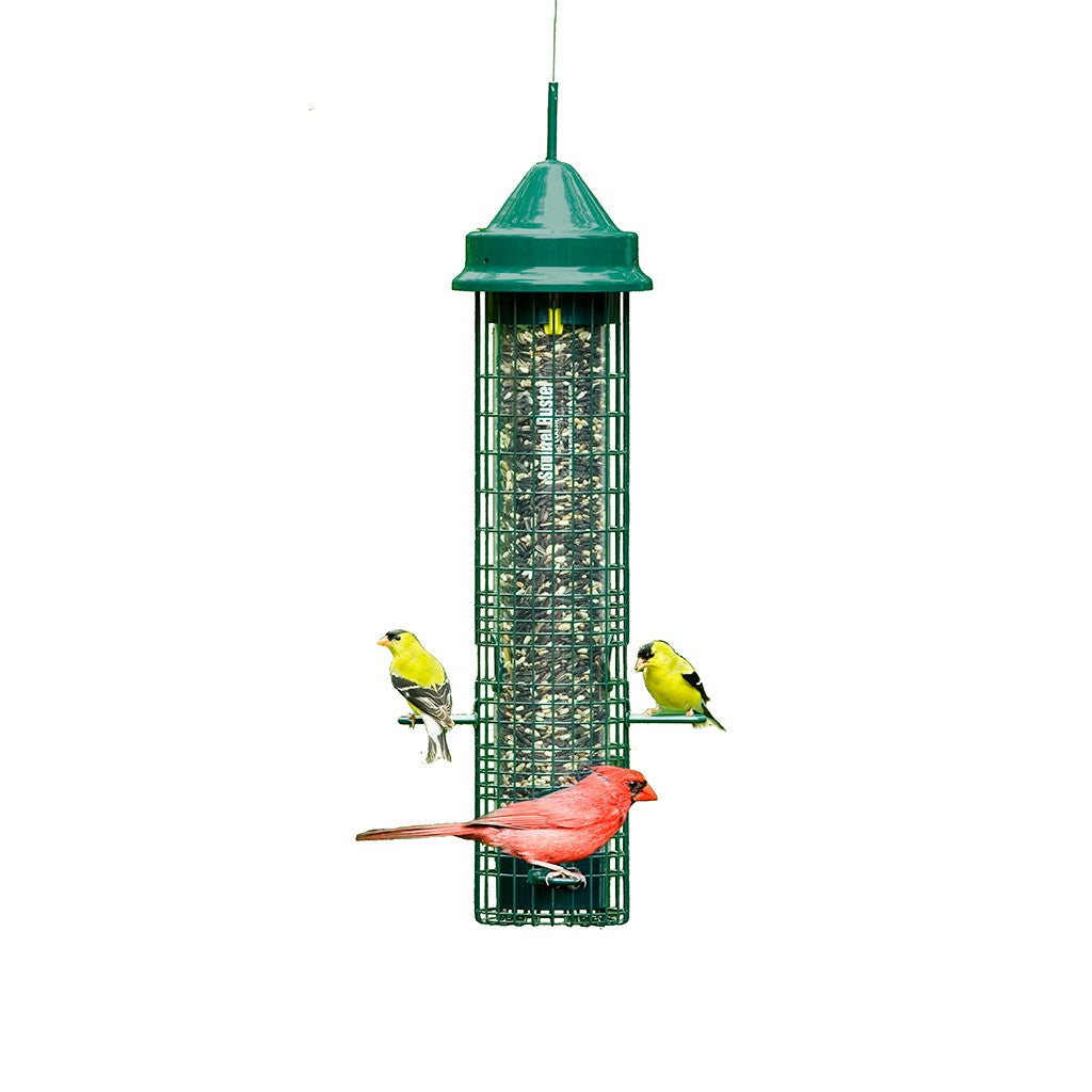 Squirrel Buster Classic Bird Feeder