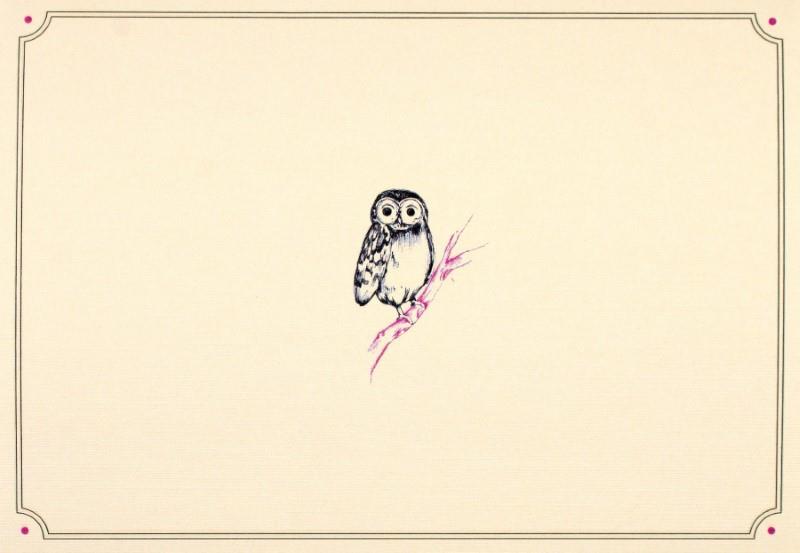 Owl Portrait Greeting Cards, Box of 14